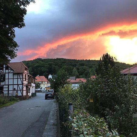 Ferienwohnung-Willgeroth Ilsenburg Luaran gambar